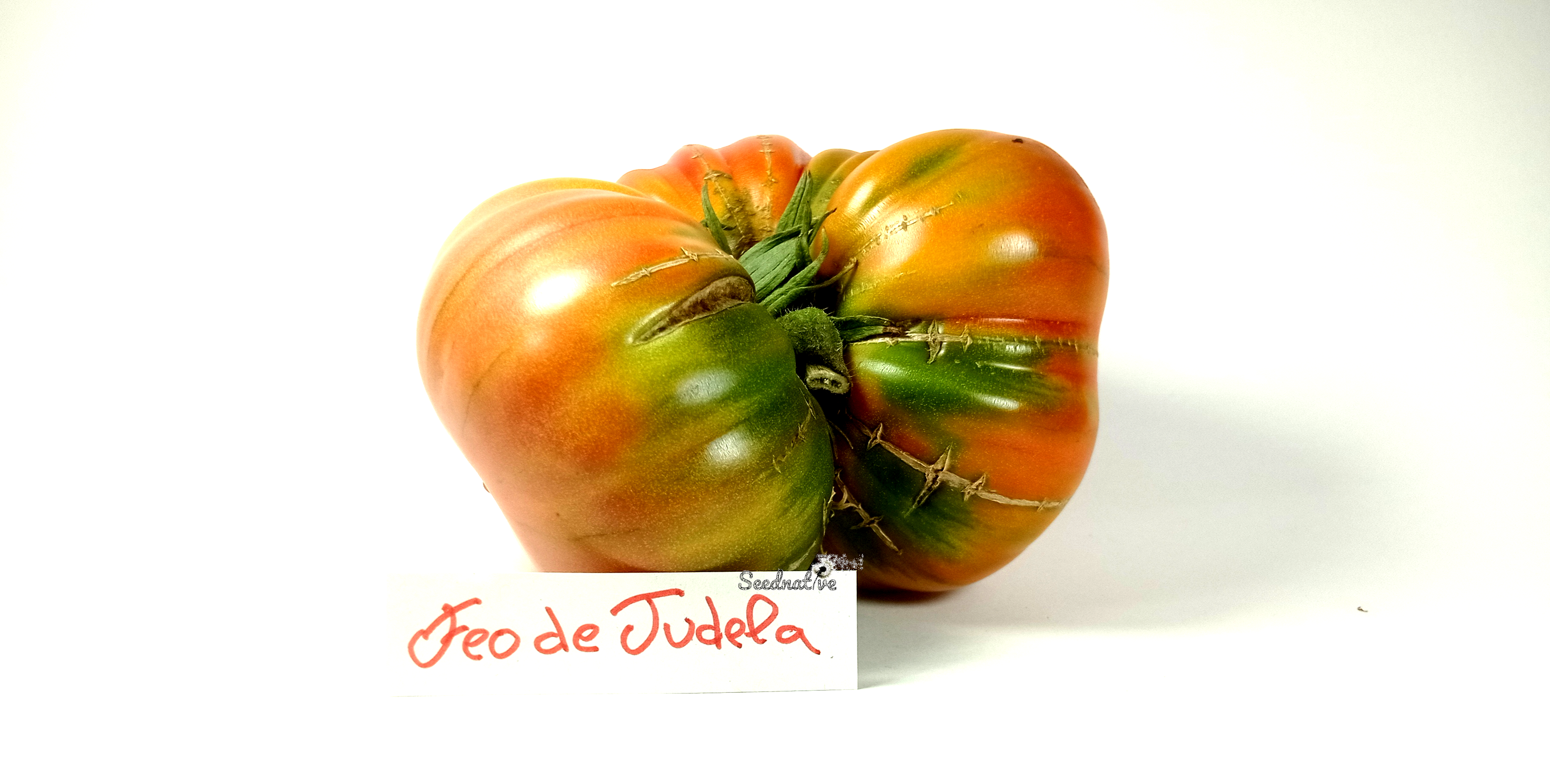 Tomate Feo de Tudela - 25 semillas - var. tomate antiguo