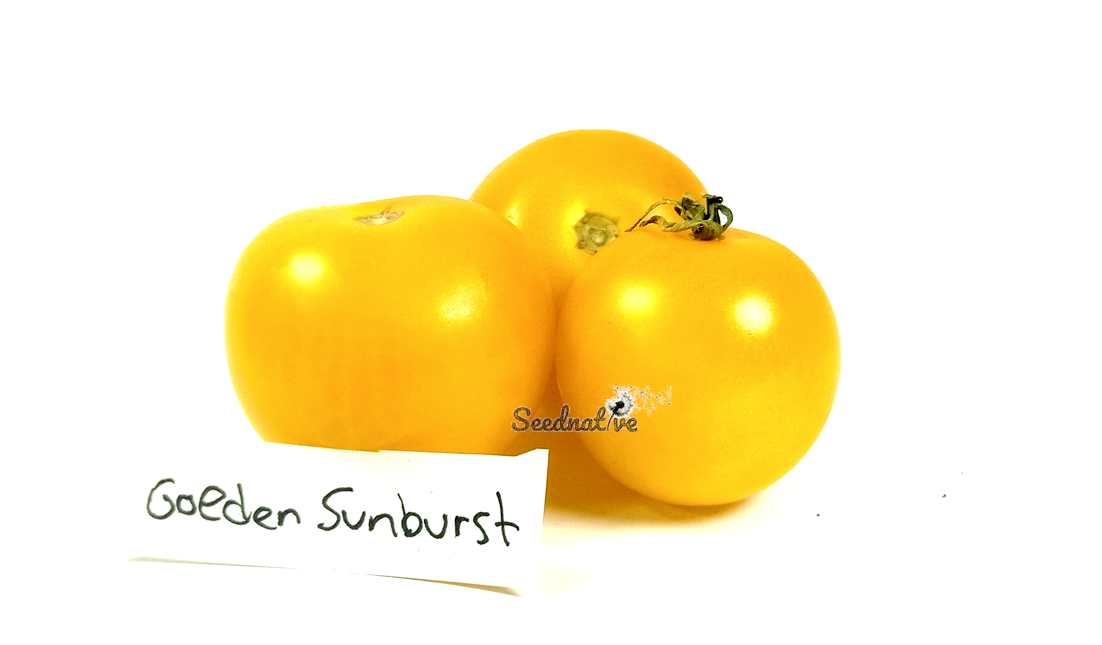 Tomate Golden Sunburst - 30 semillas 