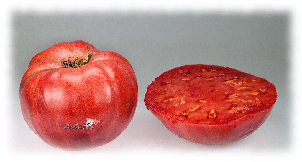 Tomate Crnkovic Yugoslavian - 20 semillas