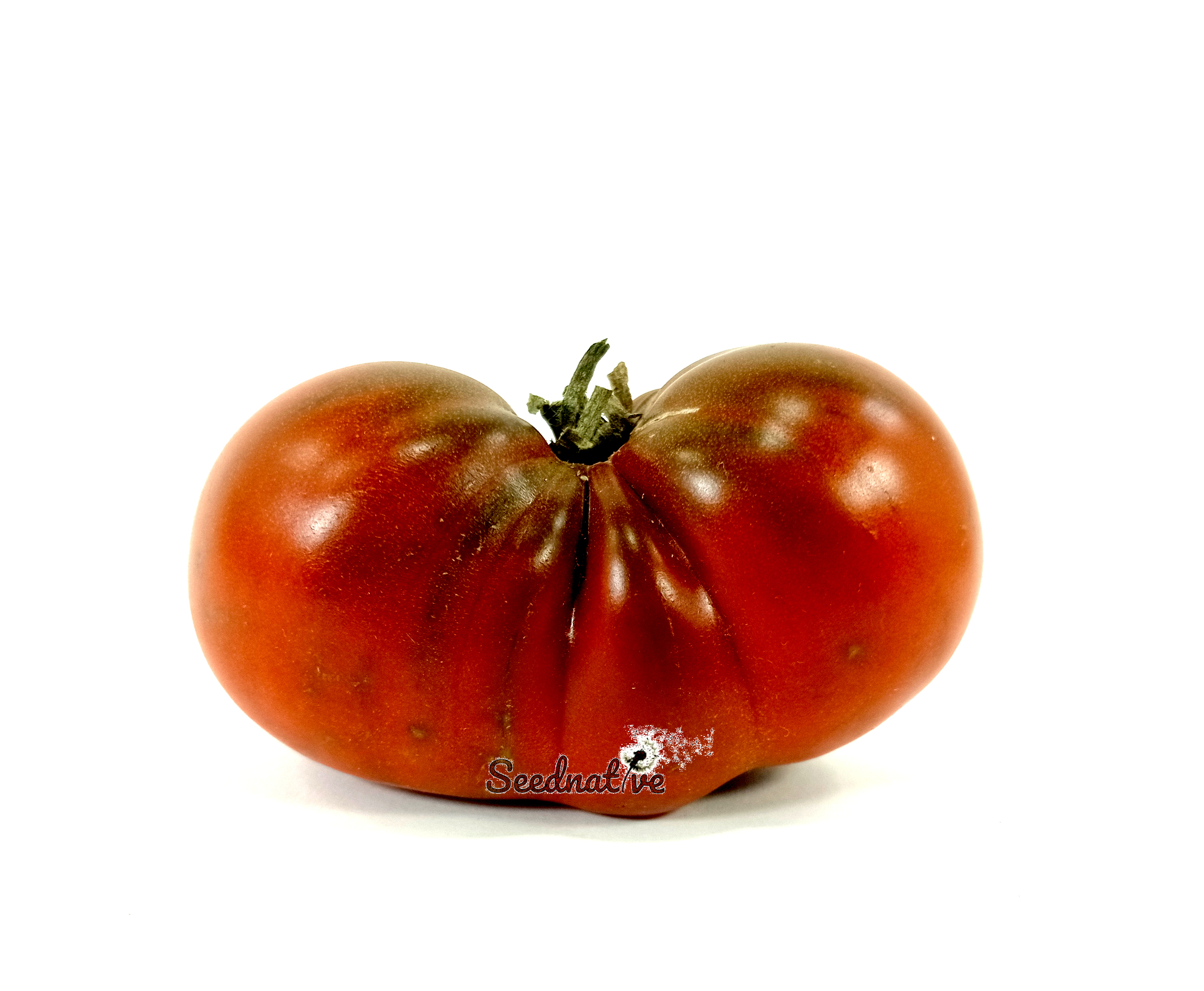 Tomate Cherokee Purple - 25 semillas 