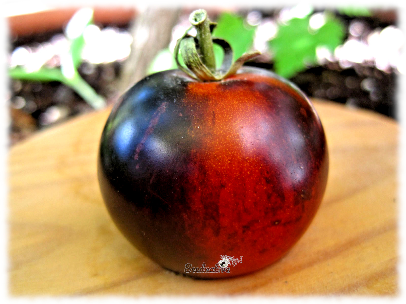 Tomate Indigo rose - 25 semillas 