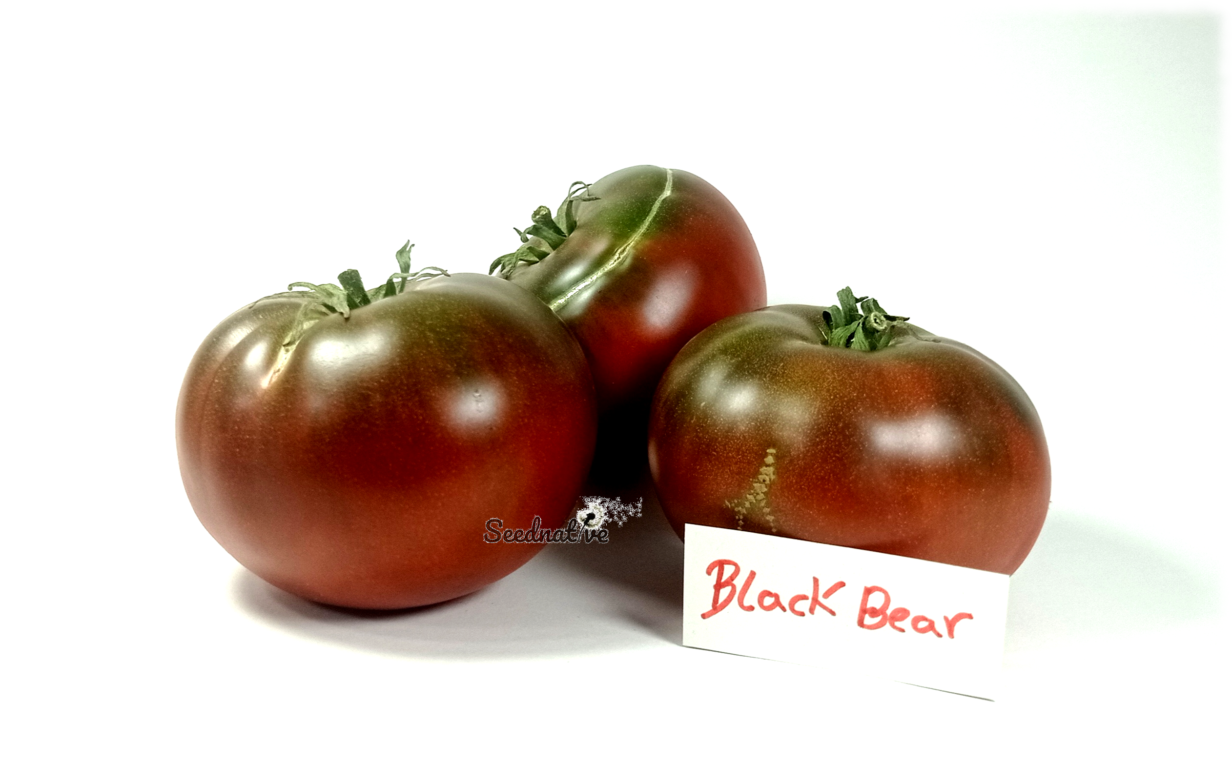 Tomate Black Bear - 25 semillas 