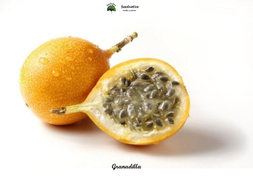 Passiflora ligularis - Granadilla - 15 semillas - Sweet Grenadilla